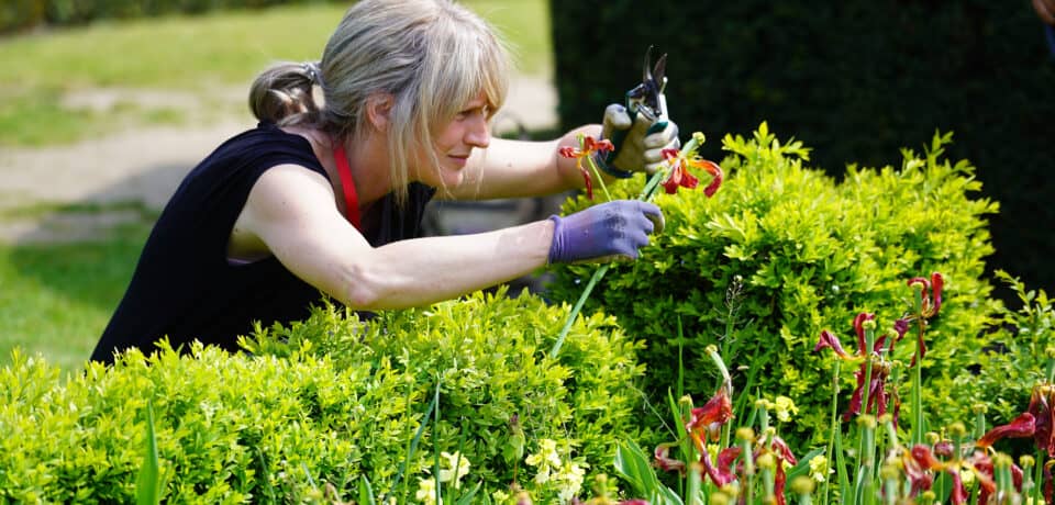 Gardening